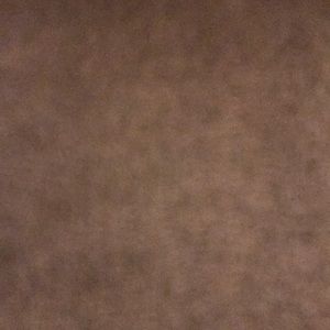 Meet your Posher, Alana